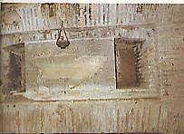 Una delle iscrizioni rinvenute nella Cripta dei papi